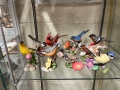IMG-20250424-WA0012