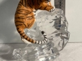 IMG-20250424-WA0016