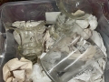 IMG-20250425-WA0012
