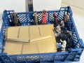 IMG-20250428-WA0022
