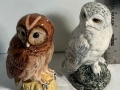 IMG-20250428-WA0075
