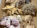 WhatsApp-Image-2026-06-01-at-12.22.30-8