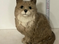 WhatsApp-Image-2026-04-30-at-12.08.26-3
