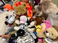 IMG-20251009-WA0003