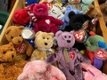 IMG-20251009-WA0006