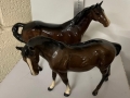 IMG-20250911-WA0021