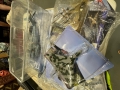 IMG-20250911-WA0069