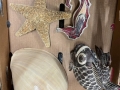 IMG-20250619-WA0007