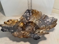 IMG-20250619-WA0035