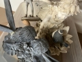 IMG-20250523-WA0084