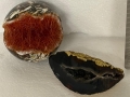 IMG-20251022-WA0015